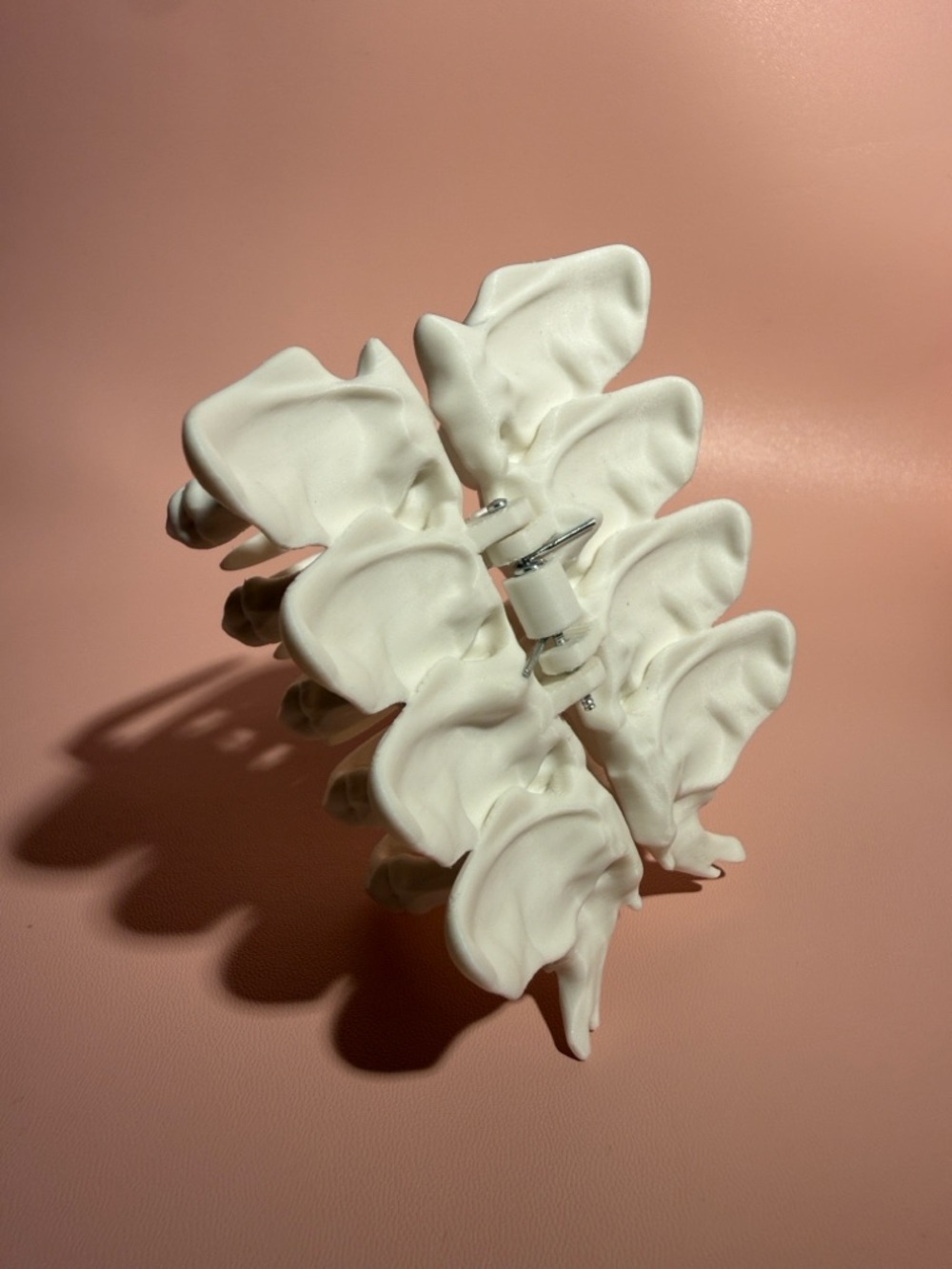 Large Bone hair claw